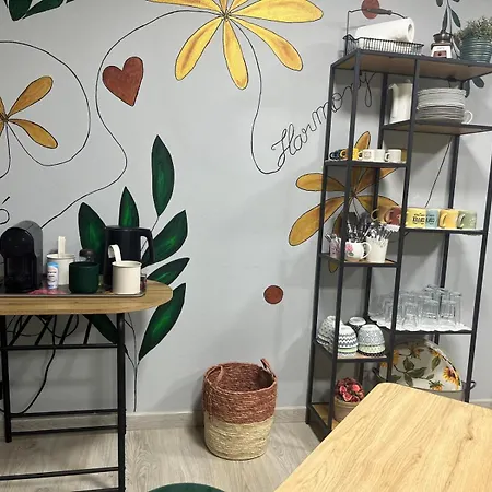 Flower Oda ve Kahvaltı Castelo de Paiva