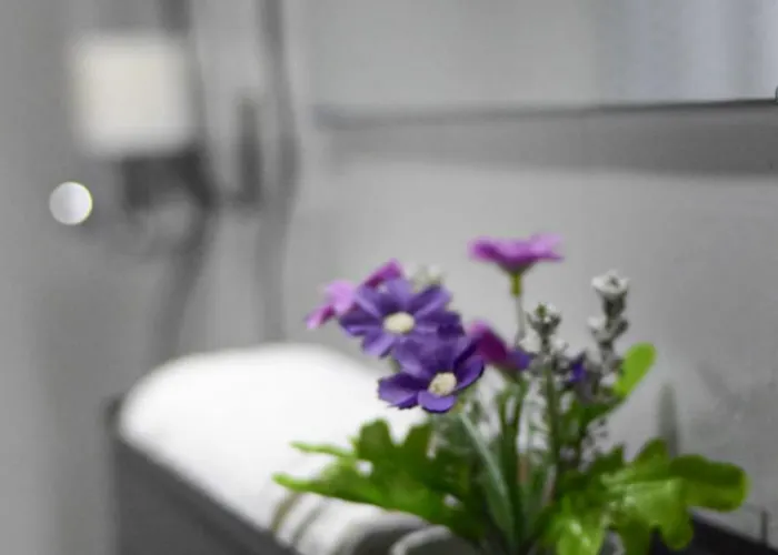 Flower Castelo de Paiva